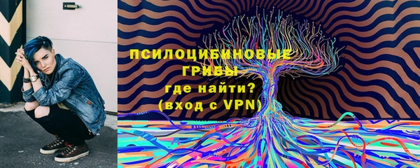 ПСИЛОЦИБИНОВЫЕ ГРИБЫ Алексин