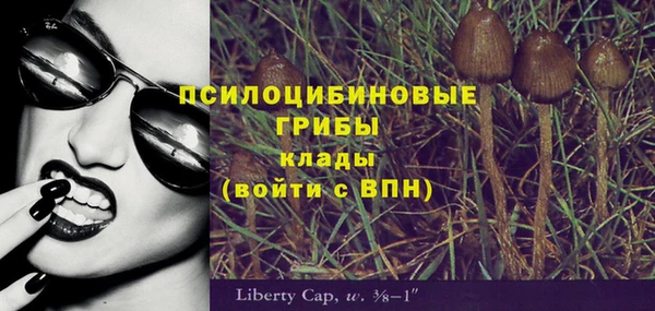 ПСИЛОЦИБИНОВЫЕ ГРИБЫ Алексин