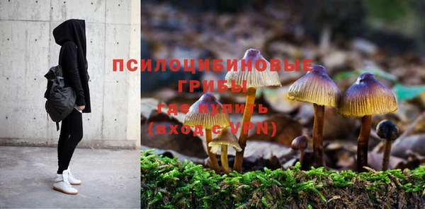 2c-b Алексеевка