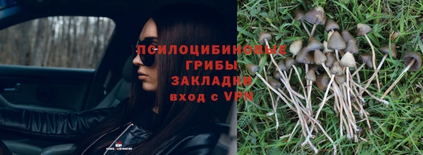 ПСИЛОЦИБИНОВЫЕ ГРИБЫ Алексин