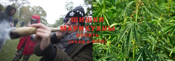 спайс Алзамай