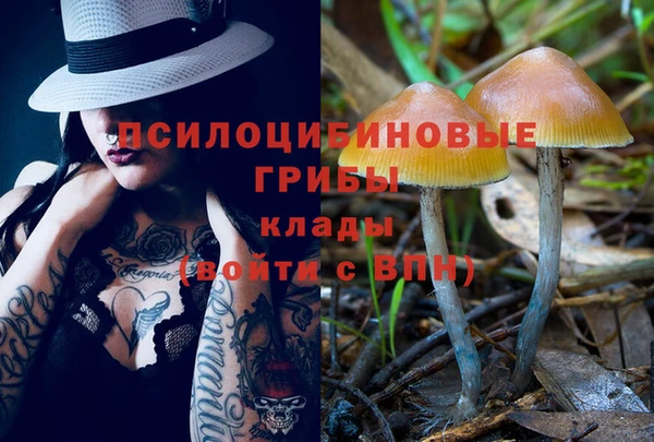 спайс Алзамай